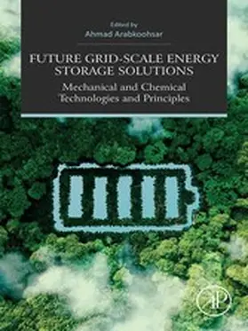 Arabkoohsar |  Future Grid-Scale Energy Storage Solutions | eBook | Sack Fachmedien