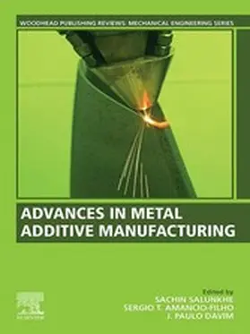 Salunkhe / Amancio-Filho / Davim |  Advances in Metal Additive Manufacturing | eBook | Sack Fachmedien