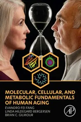 Fang / Bergersen / Gilmour |  Molecular, Cellular, and Metabolic Fundamentals of Human Aging | eBook | Sack Fachmedien