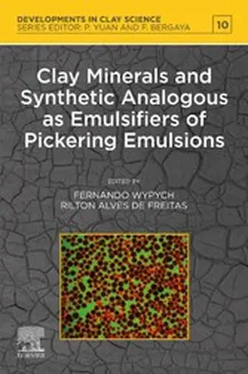 Wypych / Freitas |  Clay Minerals and Synthetic Analogous as Emulsifiers of Pickering Emulsions | eBook | Sack Fachmedien