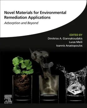 Meili / Anastopoulos |  Novel Materials for Environmental Remediation Applications | Buch |  Sack Fachmedien