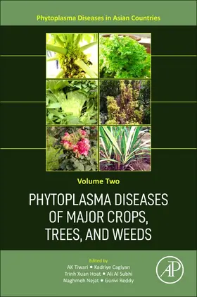 Tiwari / Al-Subhi / Caglayan |  Phytoplasma Diseases of Major Crops, Trees, and Weeds | Buch |  Sack Fachmedien