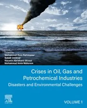 Rahimpour / Omidvar / Shirazi |  Crises in Oil, Gas and Petrochemical Industries | eBook | Sack Fachmedien