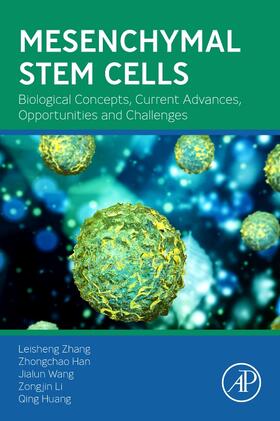 Wang / Zhang / Han |  Mesenchymal Stem Cells | Buch |  Sack Fachmedien