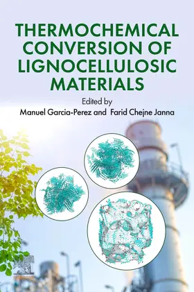 Garcia-Perez / Chejne-Janna |  Thermochemical Conversion of Lignocellulosic Materials | Buch |  Sack Fachmedien