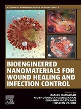 Barabadi / Saravanan / Mostafavi |  Bioengineered Nanomaterials for Wound Healing and Infection Control | eBook | Sack Fachmedien