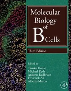 Honjo / Reth / Radbruch |  Molecular Biology of B Cells | eBook | Sack Fachmedien