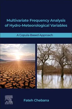 Chebana |  Multivariate Frequency Analysis of Hydro-Meteorological Variables | Buch |  Sack Fachmedien