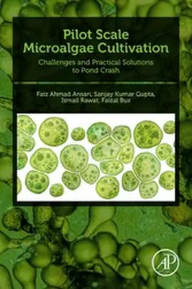 Ansari / Gupta / Rawat |  Pilot Scale Microalgae Cultivation | eBook | Sack Fachmedien