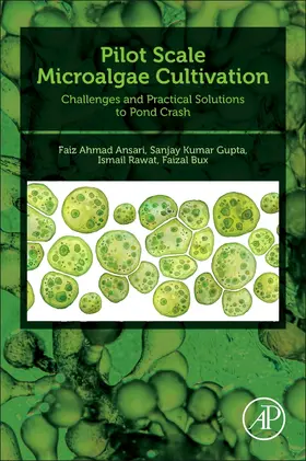 Ansari / Rawat / Gupta |  Pilot Scale Microalgae Cultivation | Buch |  Sack Fachmedien