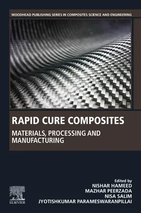 Hameed / Peerzada / Salim |  Rapid Cure Composites | Buch |  Sack Fachmedien