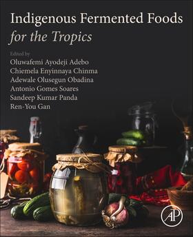 Obadina / Adebo / Soares |  Indigenous Fermented Foods for the Tropics | Buch |  Sack Fachmedien