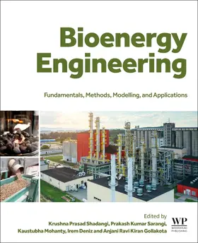 Shadangi / Mohanty / Deniz |  Bioenergy Engineering | Buch |  Sack Fachmedien