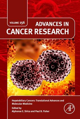  Hepatobiliary Cancers: Translational Advances and Molecular Medicine | Buch |  Sack Fachmedien