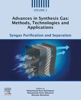 Rahimpour / Makarem / Meshksar |  Advances in Synthesis Gas: Methods, Technologies and Applications | eBook | Sack Fachmedien