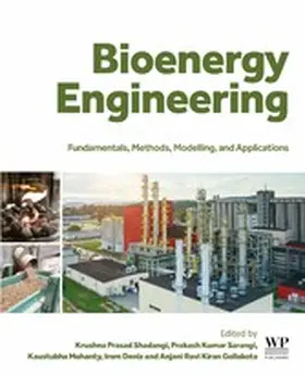 Shadangi / Sarangi / Mohanty |  Bioenergy Engineering | eBook | Sack Fachmedien