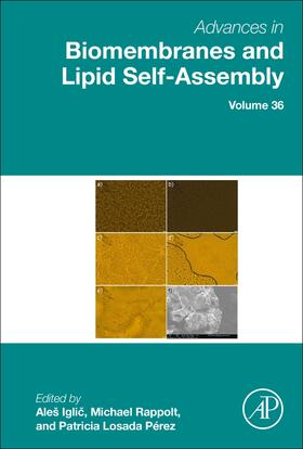 Iglic? / Rappolt / Losada Perez |  Advances in Biomembranes and Lipid Self-Assembly | Buch |  Sack Fachmedien