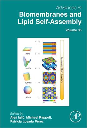 Iglic? / Rappolt / Losada Perez |  Advances in Biomembranes and Lipid Self-Assembly | Buch |  Sack Fachmedien