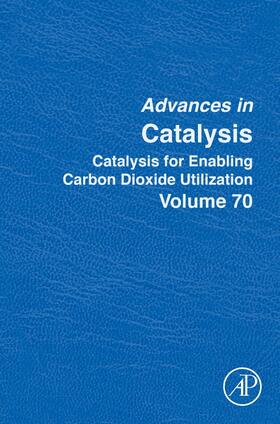  Catalysis for Enabling Carbon Dioxide Utilization | Buch |  Sack Fachmedien