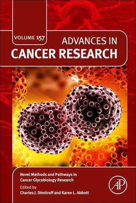  Novel Methods and Pathways in Cancer Glycobiology Research | Buch |  Sack Fachmedien