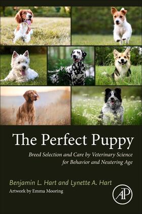 Hart |  The Perfect Puppy | Buch |  Sack Fachmedien