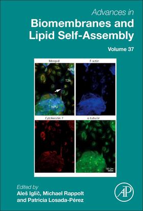 Iglic? / Rappolt / Losada Perez |  Advances in Biomembranes and Lipid Self-Assembly | Buch |  Sack Fachmedien