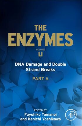  DNA Damage and Double Strand Breaks | Buch |  Sack Fachmedien