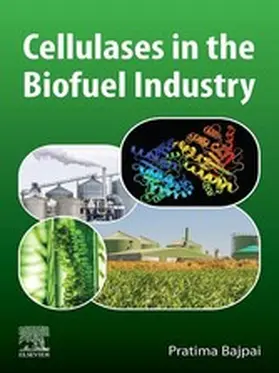 Bajpai Ph. D. / Bajpai |  Cellulases in the Biofuel Industry | eBook | Sack Fachmedien