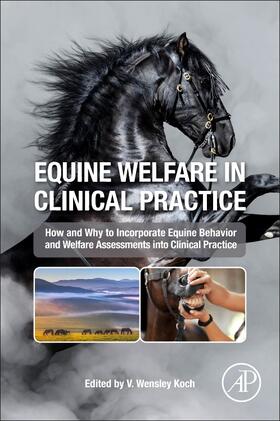 Koch |  Equine Welfare in Clinical Practice | Buch |  Sack Fachmedien