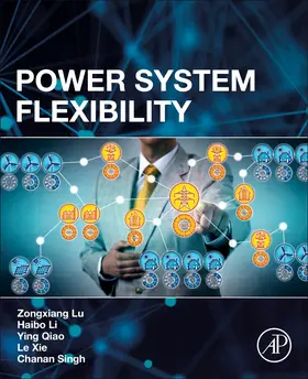 Lu / Li / Qiao |  Power System Flexibility | Buch |  Sack Fachmedien