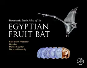 Eilam-Altstadter / Las / Witter |  Stereotaxic Brain Atlas of the Egyptian Fruit Bat | Buch |  Sack Fachmedien