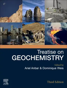  Treatise on Geochemistry | Buch |  Sack Fachmedien