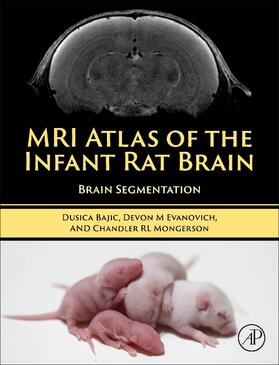 Bajic / Evanovich / Mongerson |  MRI Atlas of the Infant Rat Brain | Buch |  Sack Fachmedien
