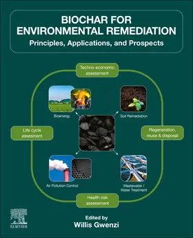 Gwenzi |  Biochar for Environmental Remediation | Buch |  Sack Fachmedien