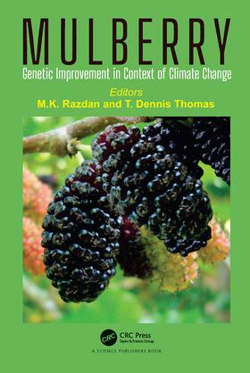 Thomas / Razdan |  Mulberry | Buch |  Sack Fachmedien