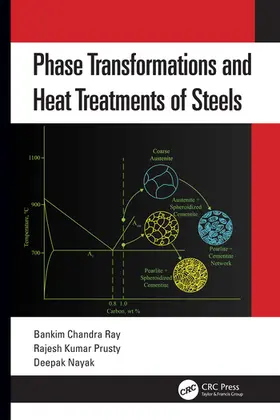 Ray / Prusty / Nayak |  Phase Transformations and Heat Treatments of Steels | Buch |  Sack Fachmedien