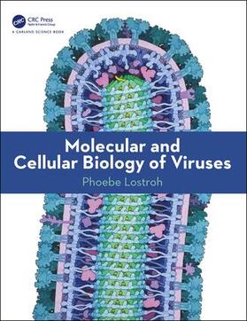 Lostroh |  Molecular and Cellular Biology of Viruses | Buch |  Sack Fachmedien
