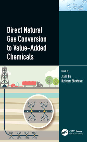 Hu / Shekhawat |  Direct Natural Gas Conversion to Value-Added Chemicals | Buch |  Sack Fachmedien