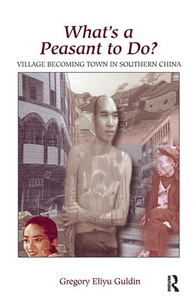 Guldin |  What's A Peasant To Do? Village Becoming Town In Southern China | Buch |  Sack Fachmedien