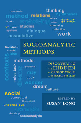 Long |  Socioanalytic Methods | Buch |  Sack Fachmedien