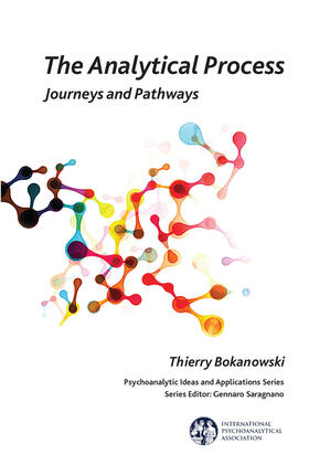 Bokanowski |  The Analytical Process | Buch |  Sack Fachmedien