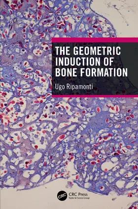 Ripamonti |  The Geometric Induction of Bone Formation | Buch |  Sack Fachmedien