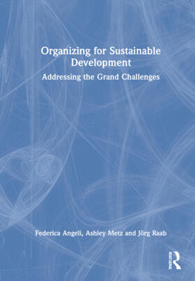 Angeli / Metz / Raab |  Organizing for Sustainable Development | Buch |  Sack Fachmedien