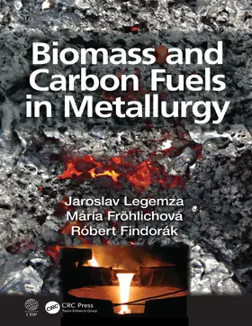 Legemza / Fröhlichová / Findorák |  Biomass and Carbon Fuels in Metallurgy | Buch |  Sack Fachmedien