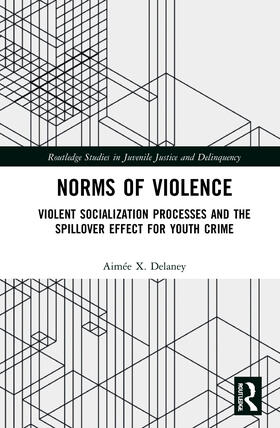 Delaney |  Norms of Violence | Buch |  Sack Fachmedien