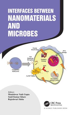 Gupta / Khare / Sinha |  Interfaces Between Nanomaterials and Microbes | Buch |  Sack Fachmedien