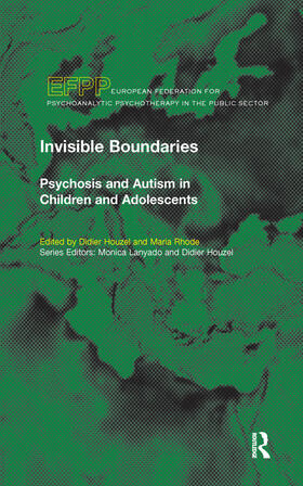 Houzel / Rhode |  Invisible Boundaries | Buch |  Sack Fachmedien