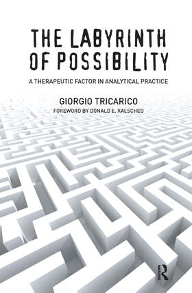 Tricarico |  The Labyrinth of Possibility | Buch |  Sack Fachmedien