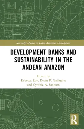 Gallagher / Ray / Sanborn |  Development Banks and Sustainability in the Andean Amazon | Buch |  Sack Fachmedien