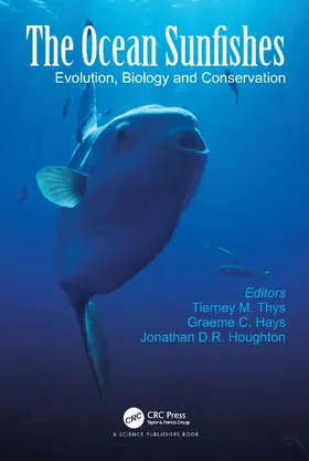 Thys / Hays / Houghton |  The Ocean Sunfishes | Buch |  Sack Fachmedien